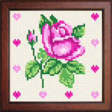 O1239 Рожева троянда кохання. Orchidea. Канва з нанесеним малюнком