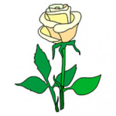 O304 Жовта троянда. Orchidea. Канва з нанесеним малюнком