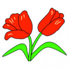 O333 Червоні тюльпани. Orchidea. Канва з нанесеним малюнком