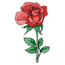 O350 Червона троянда. Orchidea. Канва з нанесеним малюнком