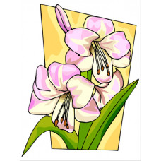 O008 Білі лілії. Orchidea. Канва з нанесеним малюнком