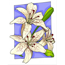 O009 Плямисті лілії. Orchidea. Канва з нанесеним малюнком