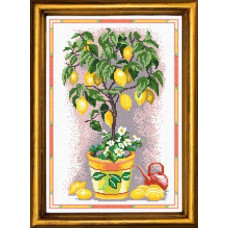 S26 Лимонне деревце. Чарівниця. Канва з нанесеним малюнком