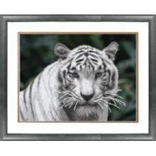 СБ-145 Білий тигр. Чарівна Мить. Схема на тканині для вишивання бісером