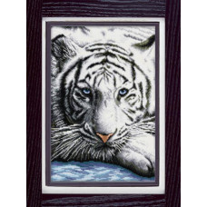 30050 Бенгальський тигр. Dream Art. Набір алмазної мозаїки (квадратні, повна)