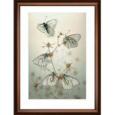 КС-1034 Пурхання метеликів. Crystal Art. Набір для виготовлення картини зі стразами
