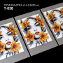 А4 Т-038 Кольорова Термоналіпка для вишивки бісером або нитками 18x29 см
