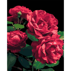 AH1187-18 Strateg Картина за номерами - Троянди 40x50 см (на чорному фоні, Стратег)