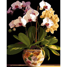 AH1198 Strateg Картина за номерами - Вазон орхідей 40x50 см (на чорному фоні, Стратег)