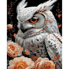 AH1237 Strateg Картина за номерами - Біла сова 40x50 см (на чорному фоні, Стратег)