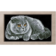АМ 5551 Сірий кіт. Повна Скриня. Канва з нанесеним малюнком