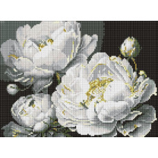 AMC20451 Ideyka Алмазна мозаїка - Бездоганна краса, 40x30 см (круглі, без підрамника AMC20450) ©art_selena_ua