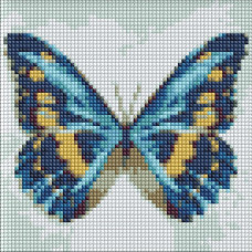 AMC7679 Блакитний метелик з АВ стразами. Ideyka. Набір алмазної мозаїки (круглі, повна) (Ідейка АМС7679)