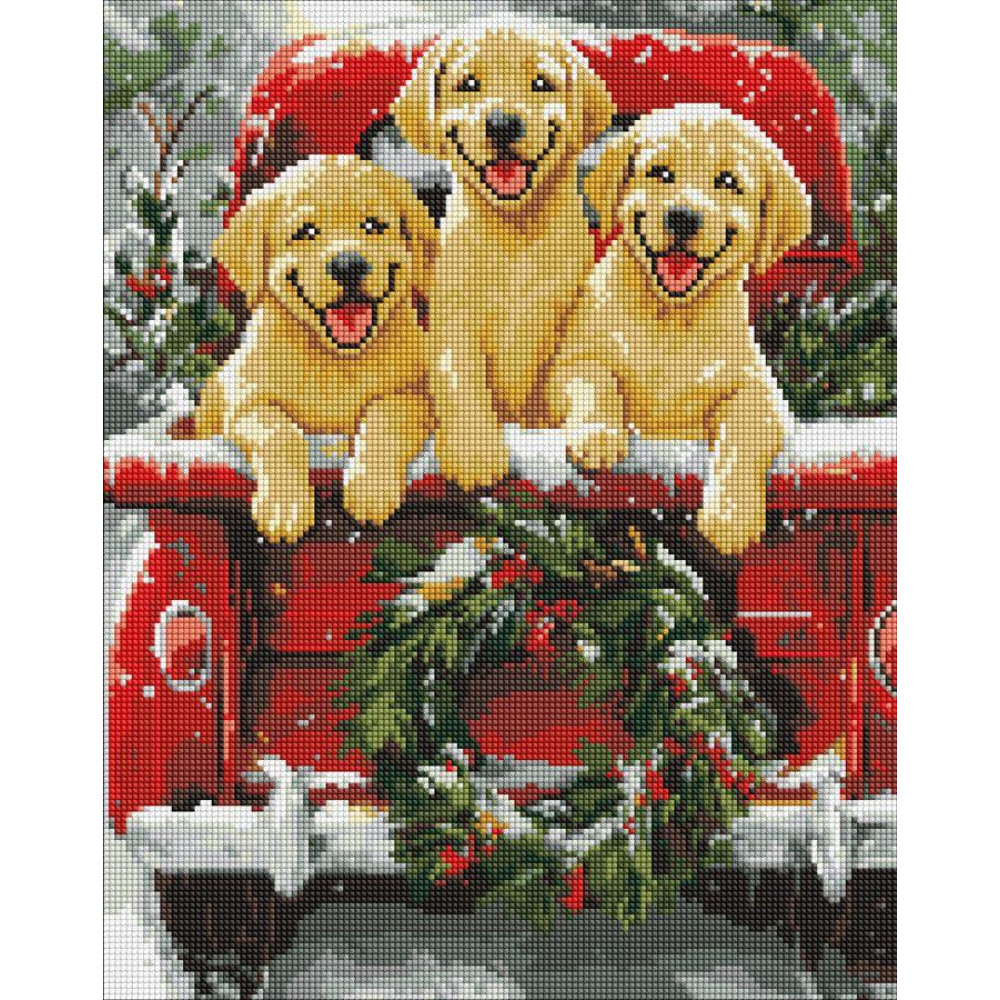 AMO20006 Ideyka Алмазна мозаїка - Собача поїздка 40х50 см (круглі, на підрамнику, АМО-20006) ©art_selena_ua AMO20006 Ideyka Алмазна мозаїка - Собача поїздка 40х50 см (круглі, на підрамнику, АМО-20006) ©art_selena_ua