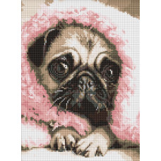 AMO20072 Ideyka Алмазна мозаїка - Закутаний Мопс 30х40 см (круглі, на підрамнику, АМО-20072) ©art_selena_ua
