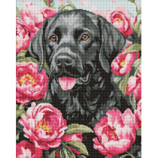AMO20084 Ideyka Алмазна мозаїка - Собака у півоніях 40х50 см (круглі, на підрамнику, АМО-20084) ©art_selena_ua
