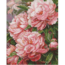 AMO20271 Ideyka Алмазна мозаїка - Рожеве натхнення 40х50 (круглі, на підрамнику, AMO20271) ©art_selena_ua