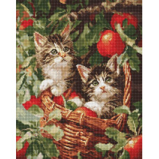 AMO20277 Ideyka Алмазна мозаїка - Коти у кошику 40х50 (круглі, на підрамнику, AMO20277) ©art_selena_ua