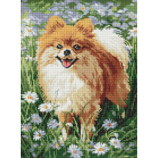 AMO20307 Ideyka Алмазна мозаїка - Ромашкове задоволення, 30x40 см (круглі, на підрамнику AMO20307) ©art_selena_ua