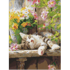 AMO20323 Ideyka Алмазна мозаїка - Муркотливий сон, 30x40 см (круглі, на підрамнику AMO20323) ©art_selena_ua