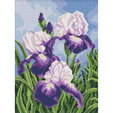 AMO20470 Ideyka Алмазна мозаїка - Іриси просто неба, 30x40 см (круглі, на підрамнику AMO20470) ©art_selena_ua AMO20470 Ideyka Алмазна мозаїка - Іриси просто неба, 30x40 см (круглі, на підрамнику AMO20470) ©art_selena_ua