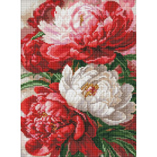 AMO20536 Ideyka Алмазна мозаїка - Багряно-біла симфонія півоній, 30x40 см (круглі, на підрамнику AMO20536) ©art_selena_ua AMO20536 Ideyka Алмазна мозаїка - Багряно-біла симфонія півоній, 30x40 см (круглі, на підрамнику AMO20536) ©art_selena_ua