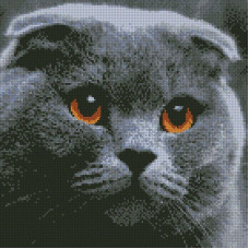 AMO7003 Ideyka Алмазна мозаїка - Домашній улюбленець, 40x40 см (круглі, на підрамнику, в обкладинці, AMO7003)
