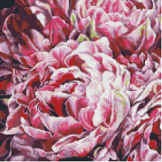 AMO7078 Ideyka Алмазна мозаїка - Буйство барв, 40x40 см (круглі, на підрамнику, в обкладинці, AMO7078)