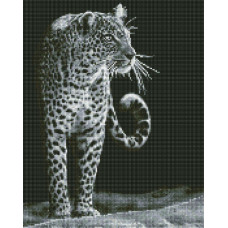 AMO7538 Нічний мисливець. Ideyka. Набір алмазної мозаїки (круглі, повна) (Ідейка АМО7538)
