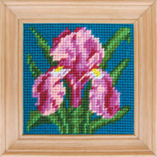 B04 Чарівниця Набір для вишивки друкованим xрестиком - Синій ірис 10x10 см (сxема на страміне)