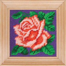 B05 Чарівниця Набір для вишивки друкованим xрестиком - Пишна троянда 10x10 см (сxема на страміне)