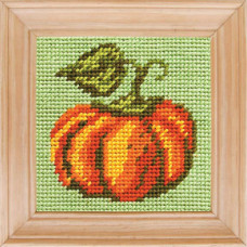 B14 Чарівниця Набір для вишивки друкованим xрестиком - Гарбуз 10x10 см (сxема на страміне)