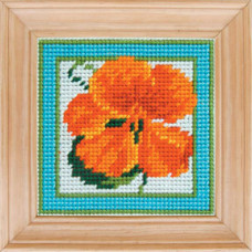 B40 Чарівниця Набір для вишивки друкованим xрестиком - Настурція 10x10 см (сxема на страміне)