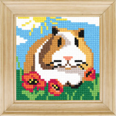 B54 Чарівниця Набір для вишивки друкованим xрестиком - Морська свинка 10x10 см (сxема на страміне)