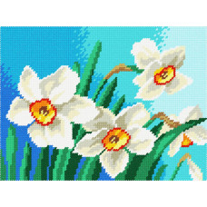 BH46 Чарівниця Набір для вишивки друкованим хрестиком - Нарциси 18x24 см (схема на канві)