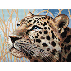 BL48 Леопард. Чарівниця. Набір для вишивання хрестиком на канві з нанесеним малюнком