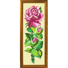 BS12 Рожева троянда. Чарівниця. Набір для вишивання хрестиком на канві з нанесеним малюнком