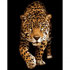 DY257 Зустріч з леопардом, 40х50 см. Strateg. Картина за номерами (Стратег)