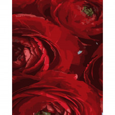 DY258 Червоні квіти, 40х50 см. Strateg. Картина за номерами (Стратег)