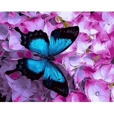 GX21627 Метелик на квітах. Brushme. Картина за номерами