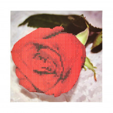 JUB20601 Краса червоної троянди, 18х18 см. Strateg. Набір алмазної мозаїки без підрамника (круглі, повна). Стратег