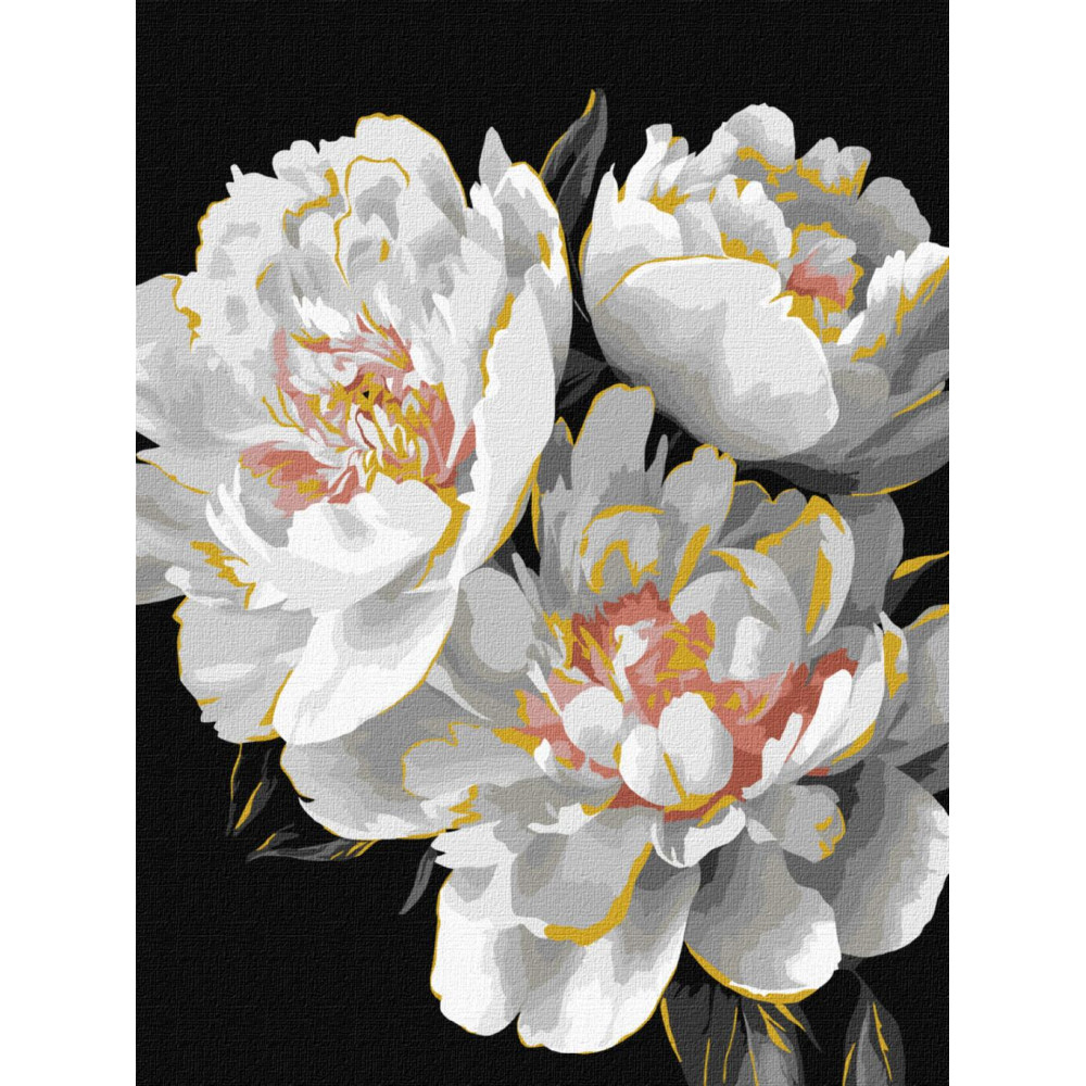 KHO3297 Ideyka Картина за номерами - Білосніжні бутони з фарбами металік 30х40 см (на підрамнику, на чорному фоні, Ідейка КНО-3297) ©art_selena_ua KHO3297 Ideyka Картина за номерами - Білосніжні бутони з фарбами металік 30х40 см (на підрамнику, на чорному фоні, Ідейка КНО-3297) ©art_selena_ua