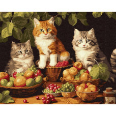 KHO6586 Котики і фрукти ©art_selena_ua. Ideyka. Картина за номерами (Ідейка КНО-6586)