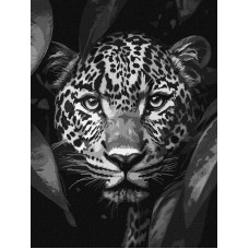 KHO6670 Ideyka Картина за номерами - Леопард на полюванні 30х40 см (на підрамнику, фарби металік, Ідейка КНО-6670) ©art_selena_ua