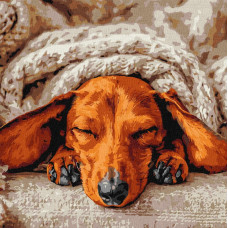 KHO6840 Ideyka Картина за номерами - Солодкий спокій 40х40 см (на підрамнику, Ідейка КНО-6840) ©art_selena_ua