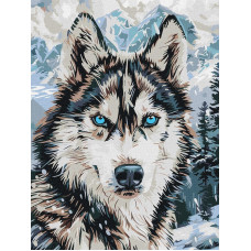 KHO6842 Ideyka Картина за номерами - Очі півночі 30х40 см (на підрамнику, Ідейка КНО-6842) ©art_selena_ua