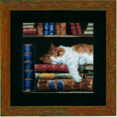 PN-0147121 Кішка, спляча на книжковій полиці. 26х26 см. Набір для вишивки хрестикомVervaco на Aida 14