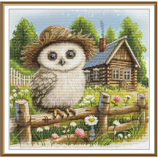 СР2385 Нова Слобода Набір для вишивки рахунковим хрестиком - Сільський парубок 25x25 см, Aida 16 (канва з фоном)