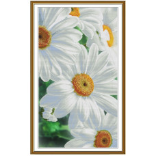 СР3476 Нова Слобода Набір для вишивки рахунковим хрестиком - Ніжність ромашок 25x52 см, Aida 16