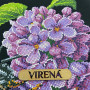 ТБ_Шоппер_663 Virena Набір для вишивки бісером - Шопер Джміль на бузку, 38x42 см